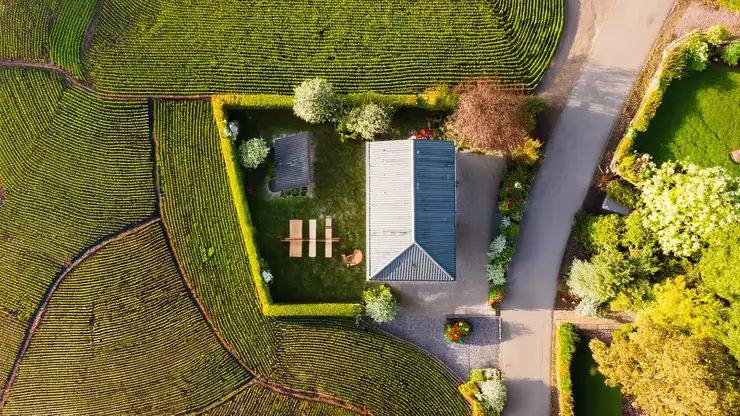 Understanding the true cost of poor property management is essential for every property investor in New Zealand.